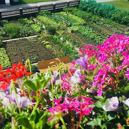 Hotel Pension Fichtenheim Guest house 3*