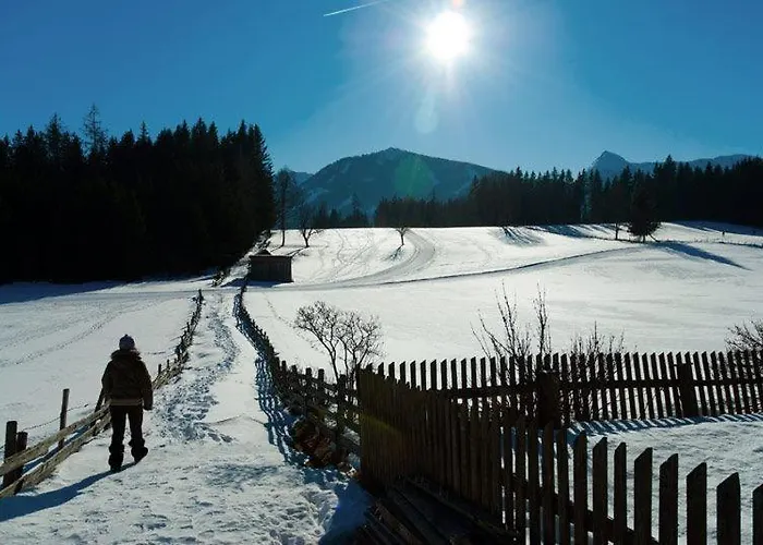 Guest house Hotel Pension Fichtenheim