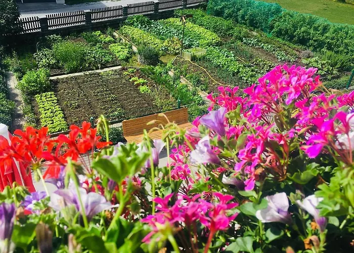 Alpengasthof Fichtenheim Gasthof 3*